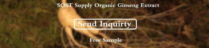 ginseng send inquirty