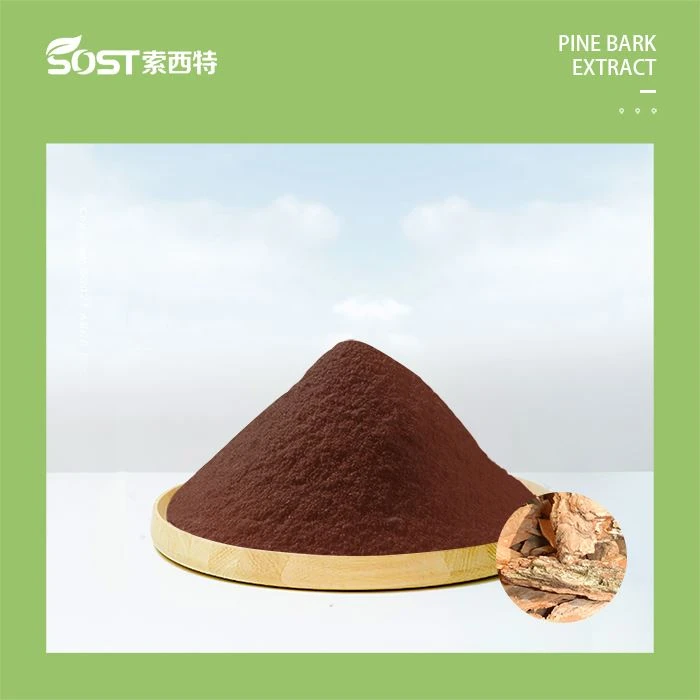 Pine Bark Extract Powder1