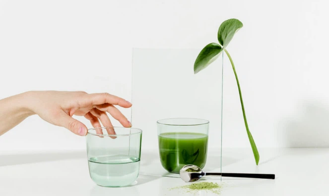 Chlorophyll Powder to take Chlorophyll Powder to take