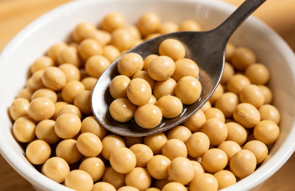 Wholesale Price Bulk Soybean Lecithin Food Grade Wholesale Price Bulk Soybean Lecithin Food Grade
