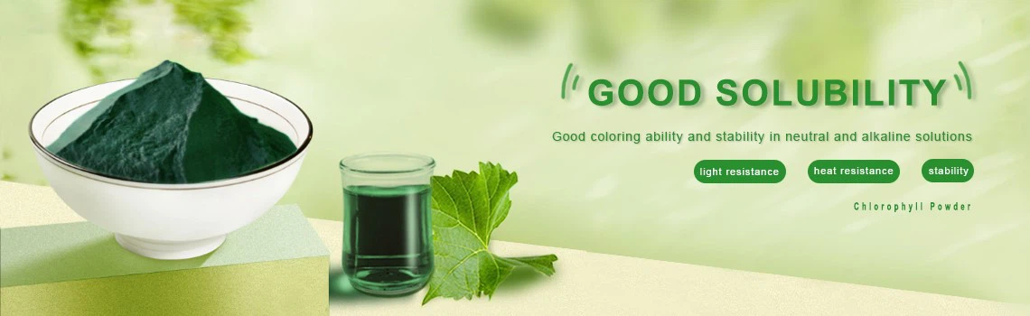 4 CHLOROPHYLL 4 CHLOROPHYLL