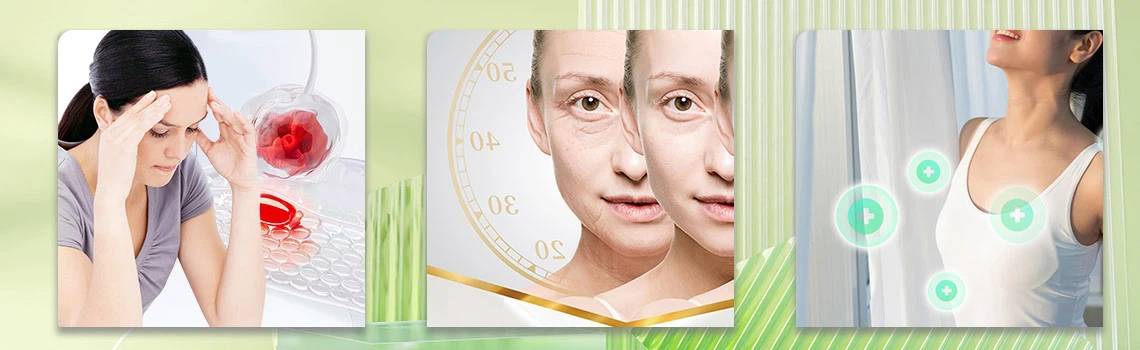 Natural Chlorophyll Powder 2 Natural Chlorophyll Powder 2