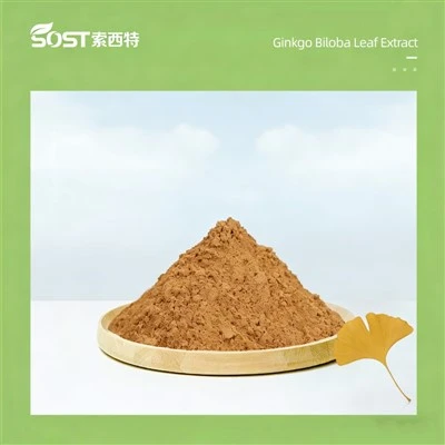 Ginkgo Biloba Ekstresi Tozu