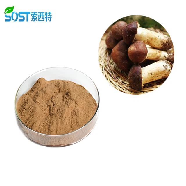 Agaricus Blazei Extract Powder