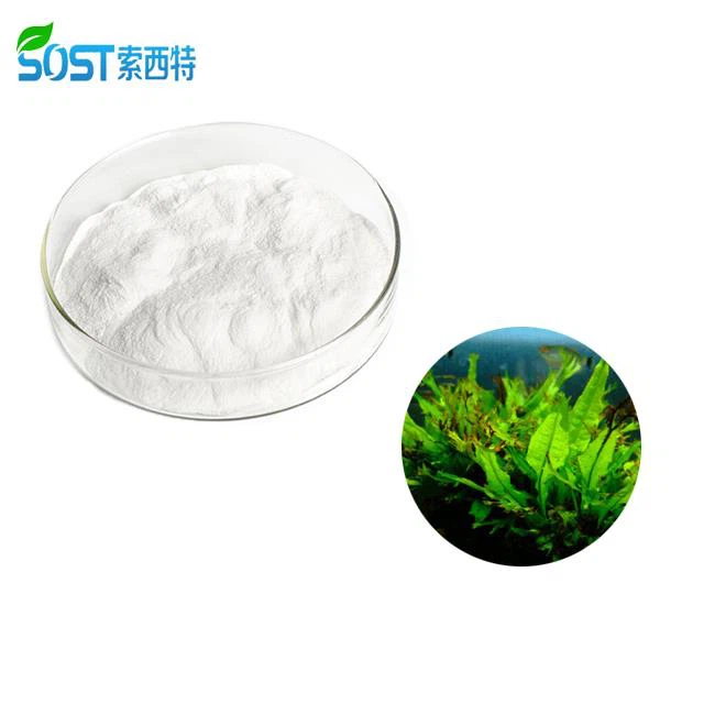 Fucoidan Powder