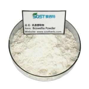 Boswellia Serrata Özü Tozu