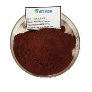 Anti Aging Pine Bark Extract Powder