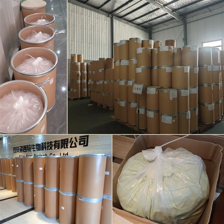 Auricularia Auricula Mushroom Extract best