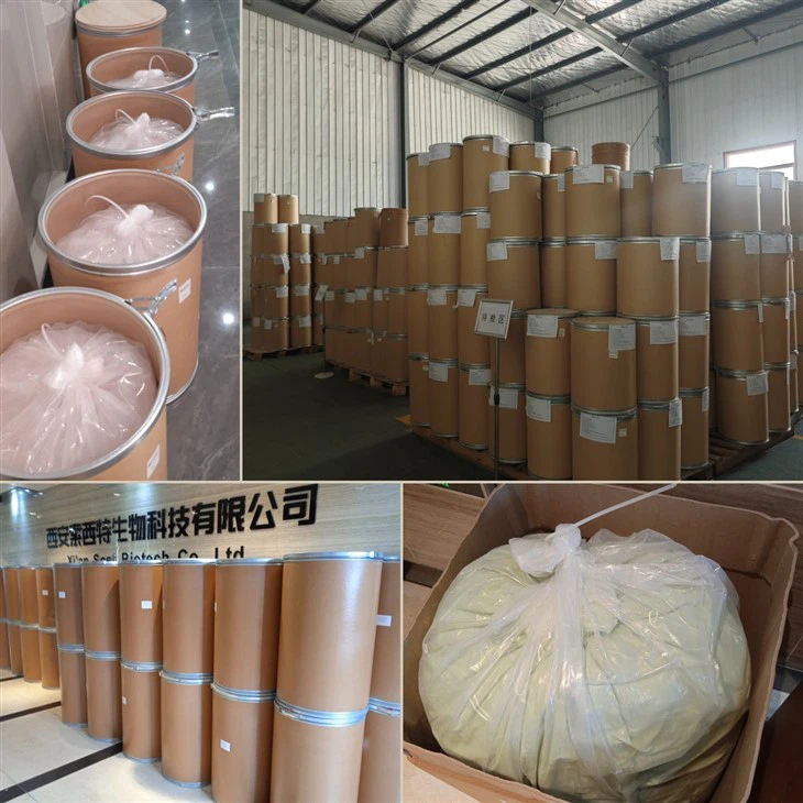 Enoki Mushroom Extract best
